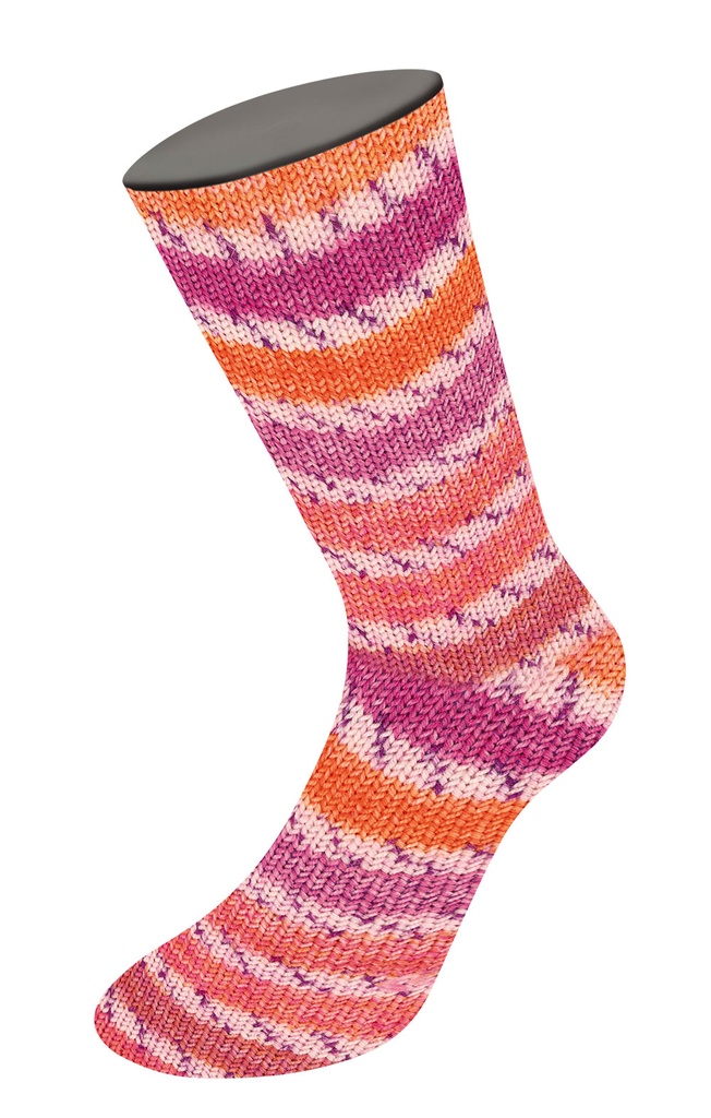 Meilenweit 100 Socktober 23 - 4338