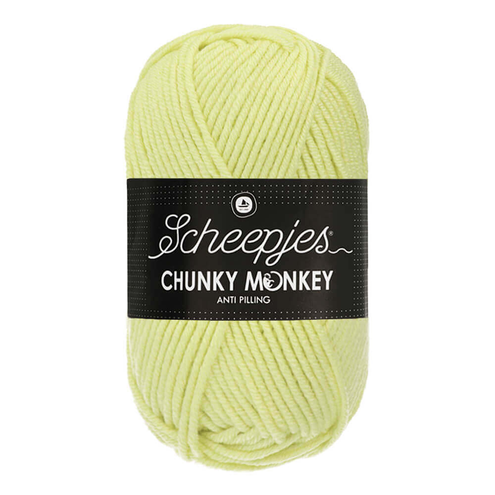 Scheepjes Chunky Monkey 100g - 1020 Mint