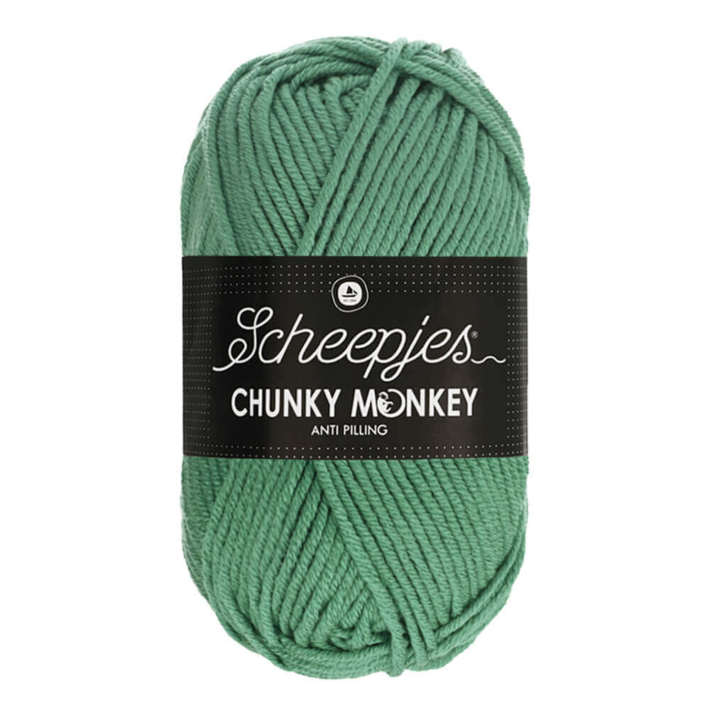 Scheepjes Chunky Monkey 100g - 1725 Eucalyptus