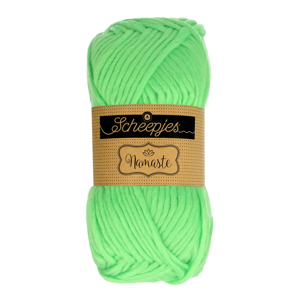 Scheepjes Namaste 100g - 605 Half Frog