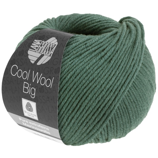 Cool Wool Big 1004