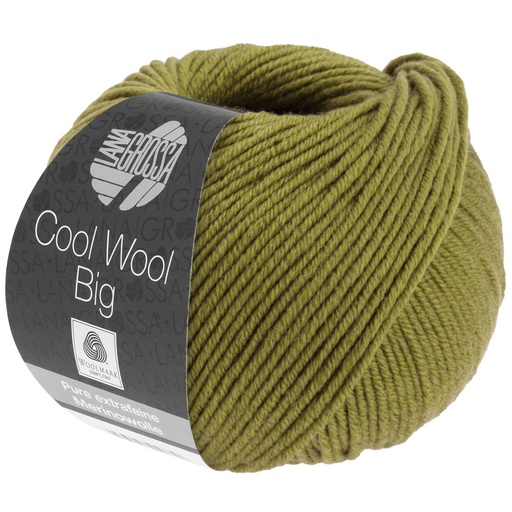 Cool Wool Big 1006