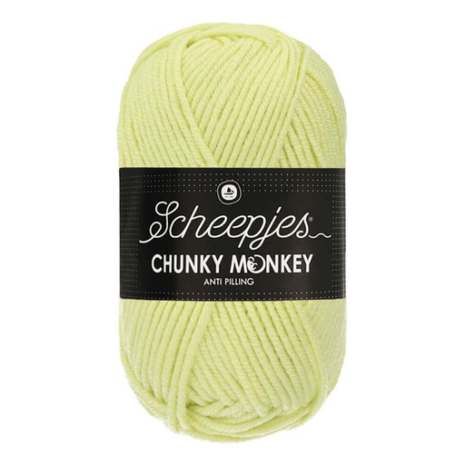 [1716-1020] Scheepjes Chunky Monkey 100g - 1020 Mint