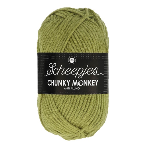 [1716-1065] Scheepjes Chunky Monkey 100g - 1065 Sage