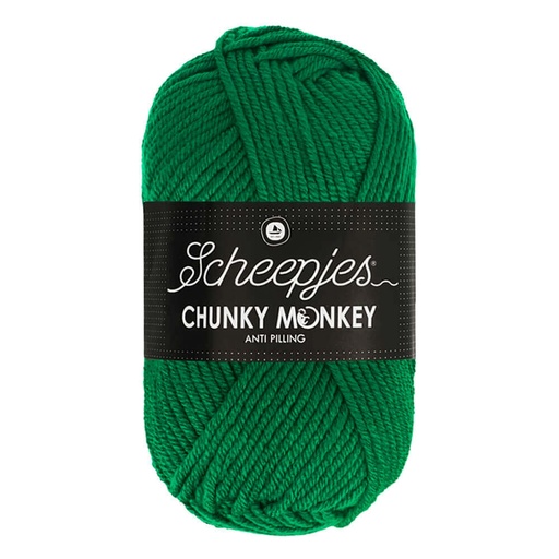 [1716-1116] Scheepjes Chunky Monkey 100g - 1116 Juniper