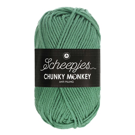 [1716-1725] Scheepjes Chunky Monkey 100g - 1725 Eucalyptus