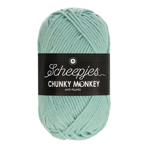 [1716-1820] Scheepjes Chunky Monkey 100g - 1820 Mist