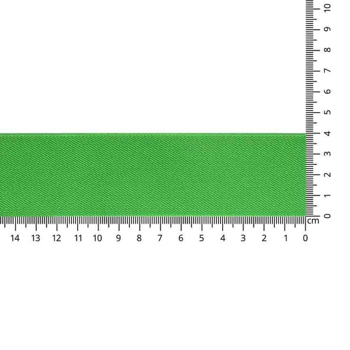 [97839-495] Elastiek schuin geweven 40mm - 495