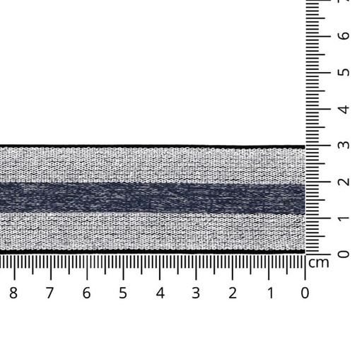 [65740] Elastiek gestreept zilver lurex 30mm - 01